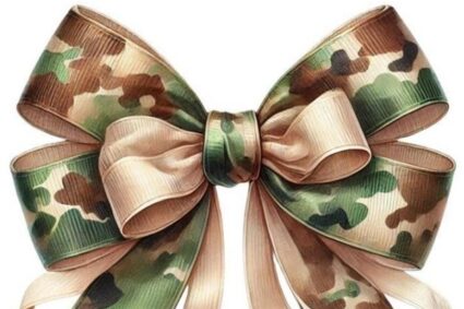 Military Diplomacy ~ The Role of the Peacekeepers
